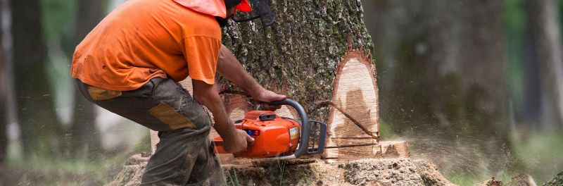 Turfing Services in Hornchurch