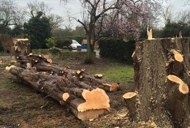 lawn replacement in Hornchurch