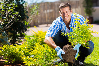 Turfing services in Hornchurch